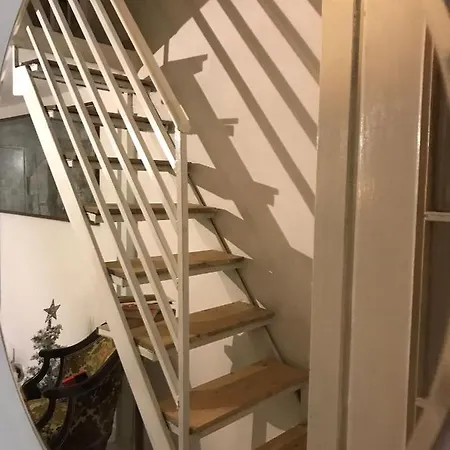 Botanical Garden's Flat *