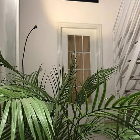 Botanical Garden's Flat Napoli